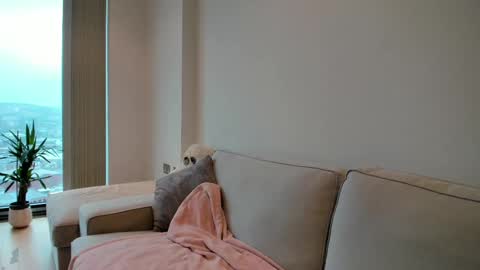 Snapshot of naughtynerdygirl chatting on February 10, 2:37 pm Gigi Chu online show from February 10, 2:37 pm