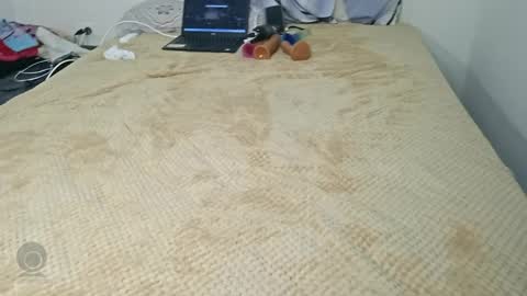 Onlyfans nelielgonzalez online show from March 28, 2:35 am