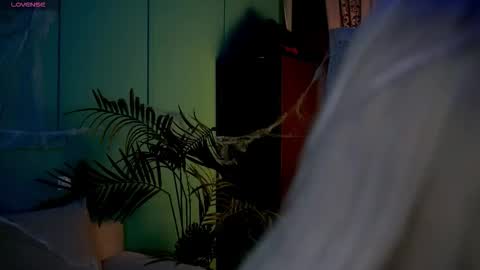 I am Nelly3 online show from November 3, 3:29 am