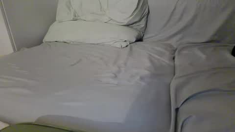 Nerlinlee online show from February 24, 6:33 pm