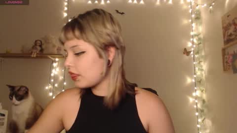 Mar online show from October 6, 3:13 am