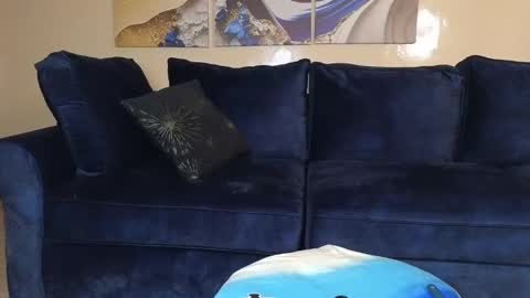 Snapshot of nicckah_ chatting on December 21, 11:33 am Lilly online show from December 21, 11:33 am