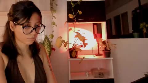 day  online show from October 26, 1:06 am