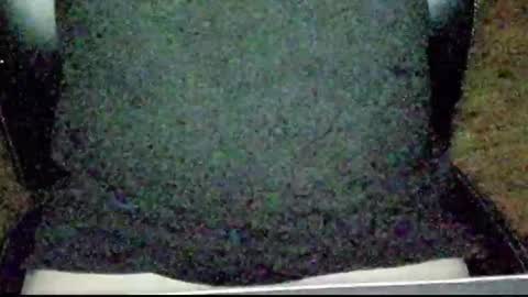 nicecockns online show from February 3, 10:25 pm