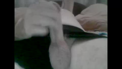 TheCock online show from October 31, 5:19 am