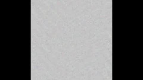 Snapshot of nicky123xox chatting on February 26, 12:05 pm siem v veen thank you for the offline tip today xxxx online show from February 26, 12:05 pm