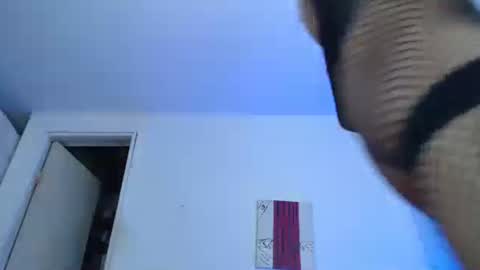 Snapshot of nico_hoot chatting on December 29, 2:17 am sammy hoot online show from December 29, 2:17 am