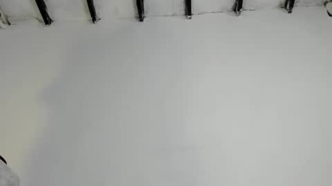 sammy hoot online show from September 23, 2:38 am