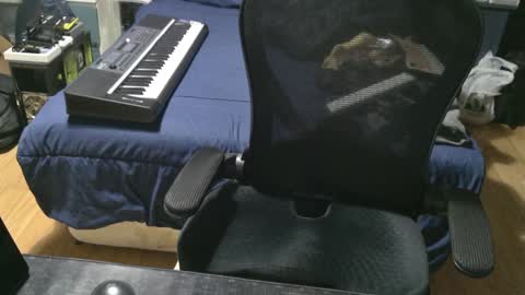 Julian online show from January 5, 1:36 pm