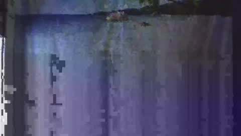 OHB Old Horny Bastard online show from January 13, 5:12 am