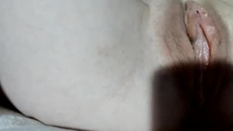 NikaXBerry online show from December 9, 12:34 am