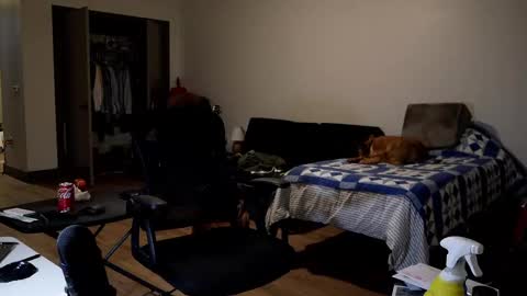 Nike Jude online show from November 23, 8:01 am