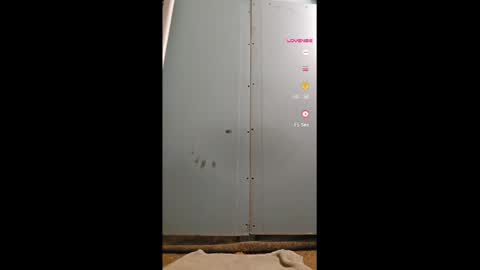 nikol online show from February 26, 8:04 pm