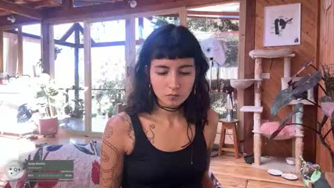 Nina.  online show from October 18, 8:24 pm