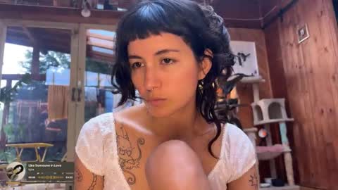 Nina.  online show from December 18, 8:15 pm