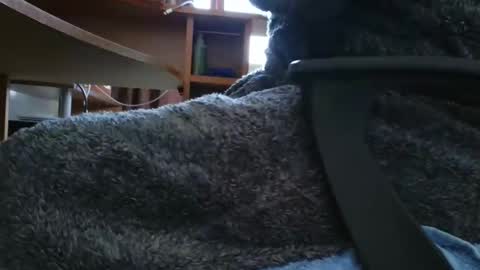 nineinchhard online show from March 6, 10:20 am