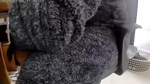 nineinchhard online show from January 6, 11:40 am