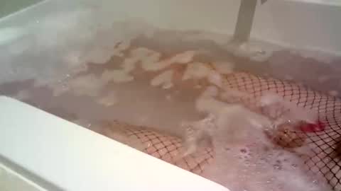 Will online show from February 12, 6:30 pm