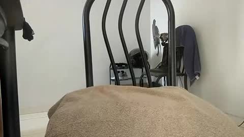 nobrupauzudo online show from April 3, 12:01 pm