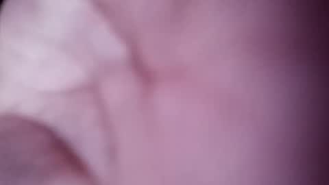 Snapshot of nooby942461 chatting on February 8, 8:42 am sim nib online show from February 8, 8:42 am