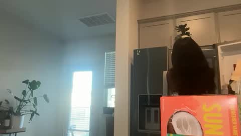 NoodsOverNudes online show from June 10, 11:58 pm