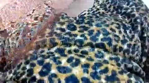 nora_roy246 online show from January 8, 5:57 am