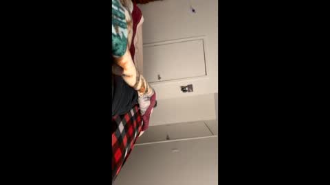 se le perdio algo perra hp online show from January 10, 9:02 am