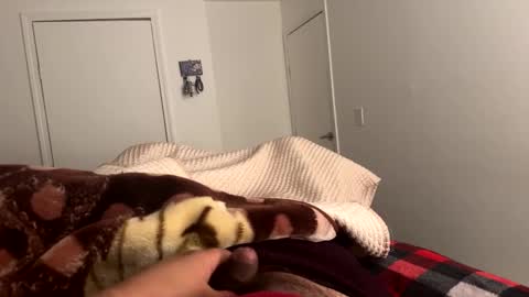 se le perdio algo perra hp online show from February 24, 8:06 am