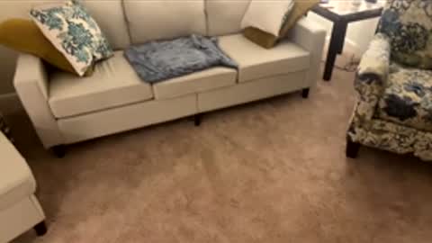 noturaveragemilf online show from December 22, 7:04 am