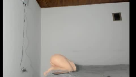 nreus online show from October 8, 10:21 am