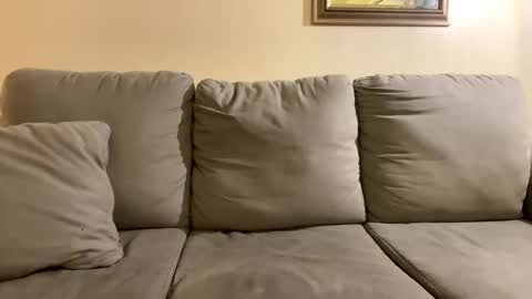 numb_nut_ online show from November 13, 3:20 am