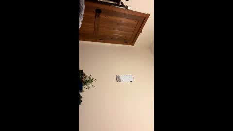 Snapshot of nuts4play chatting on September 14, 2:47 am Piecer online show from September 14, 2:47 am