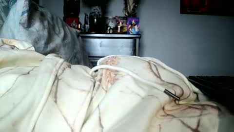 KN online show from February 20, 5:37 pm