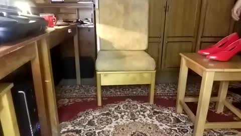 NyushaM online show from November 17, 3:58 pm