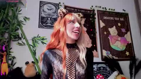   online show from February 21, 8:01 pm