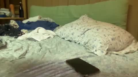 harvestmoon online show from October 26, 8:48 am