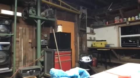 ofthatguy online show from March 21, 8:19 am