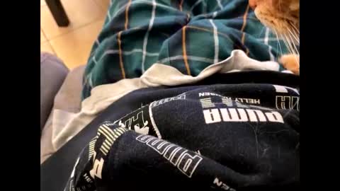 Snapshot of oggs48 chatting on October 31, 1:22 pm oggs48 online show from October 31, 1:22 pm