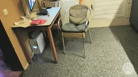 oldersagger online show from December 5, 5:11 pm