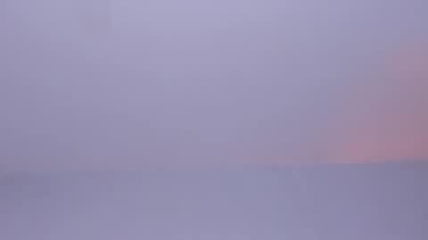 OLIVIA online show from February 2, 12:08 am