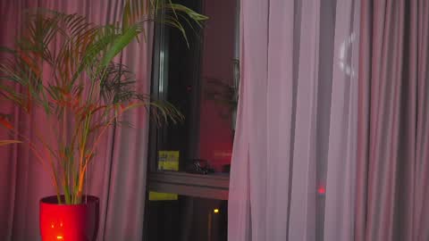 Snapshot of onlynicolle chatting on January 30, 1:11 am Nicolle online show from January 30, 1:11 am