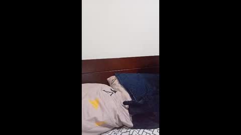 osarito3x online show from January 13, 1:52 pm