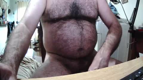 Snapshot of ositopeludo23 chatting on September 11, 4:03 am ositopeludo23 online show from September 11, 4:03 am