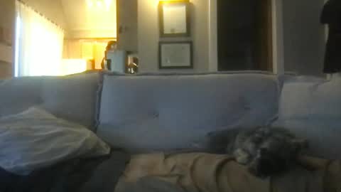 Snapshot of ossignol_xxx chatting on February 27, 1:19 am rossignol online show from February 27, 1:19 am