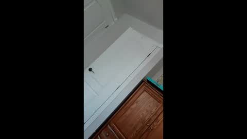 Pablo   Nina online show from January 22, 5:49 pm