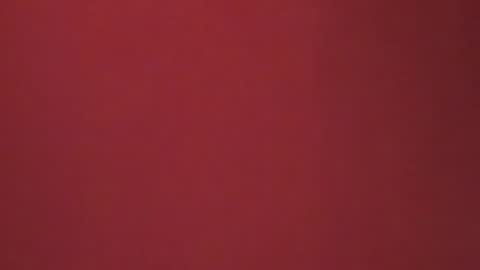  P A M  online show from February 22, 6:28 am