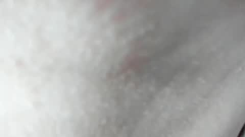 sara and andreu online show from February 13, 9:39 pm