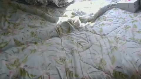 Paris online show from October 9, 11:26 am