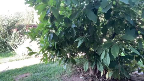 Andreea online show from September 23, 6:18 am