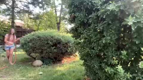 Andreea online show from July 6, 3:03 pm